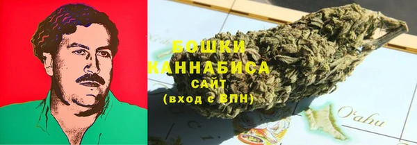 крисы Новозыбков