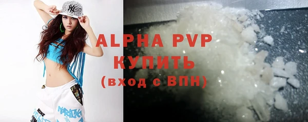 крисы Новозыбков
