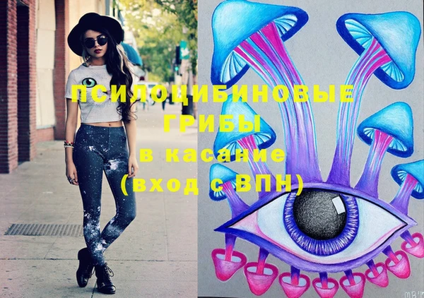 крисы Новозыбков