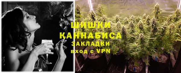 крисы Новозыбков