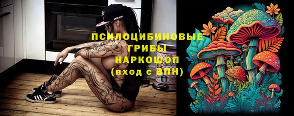 твердый Новокубанск