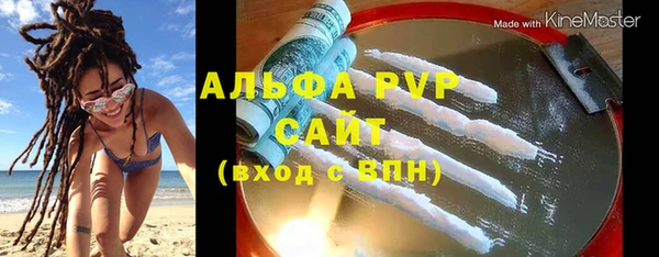 крисы Новозыбков