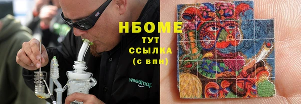 крисы Новозыбков
