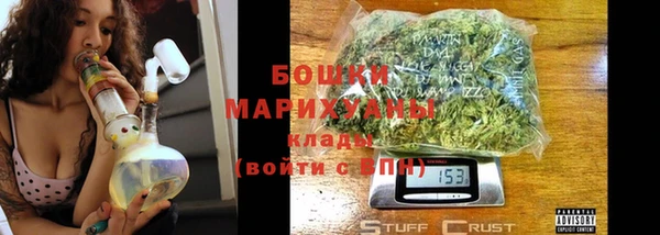 крисы Новозыбков