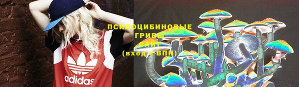крисы Новозыбков