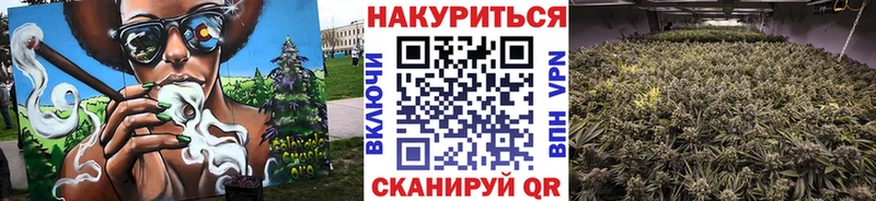 Бошки Шишки Bruce Banner Анива